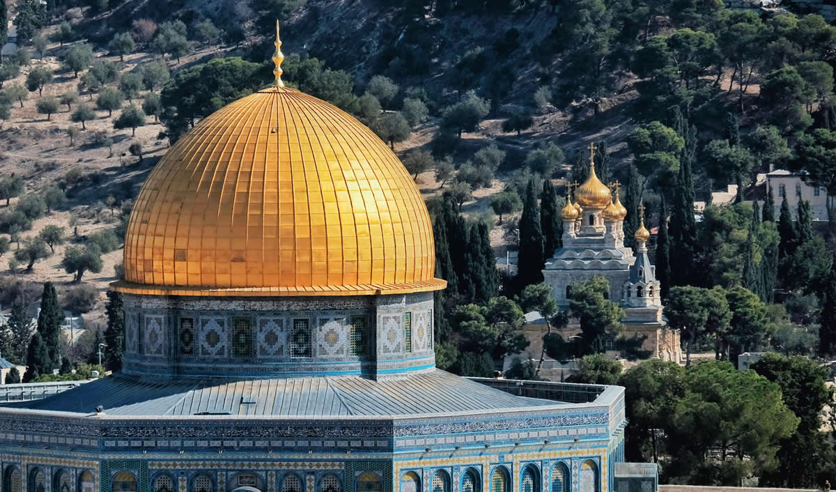 Israel Global Development, dome