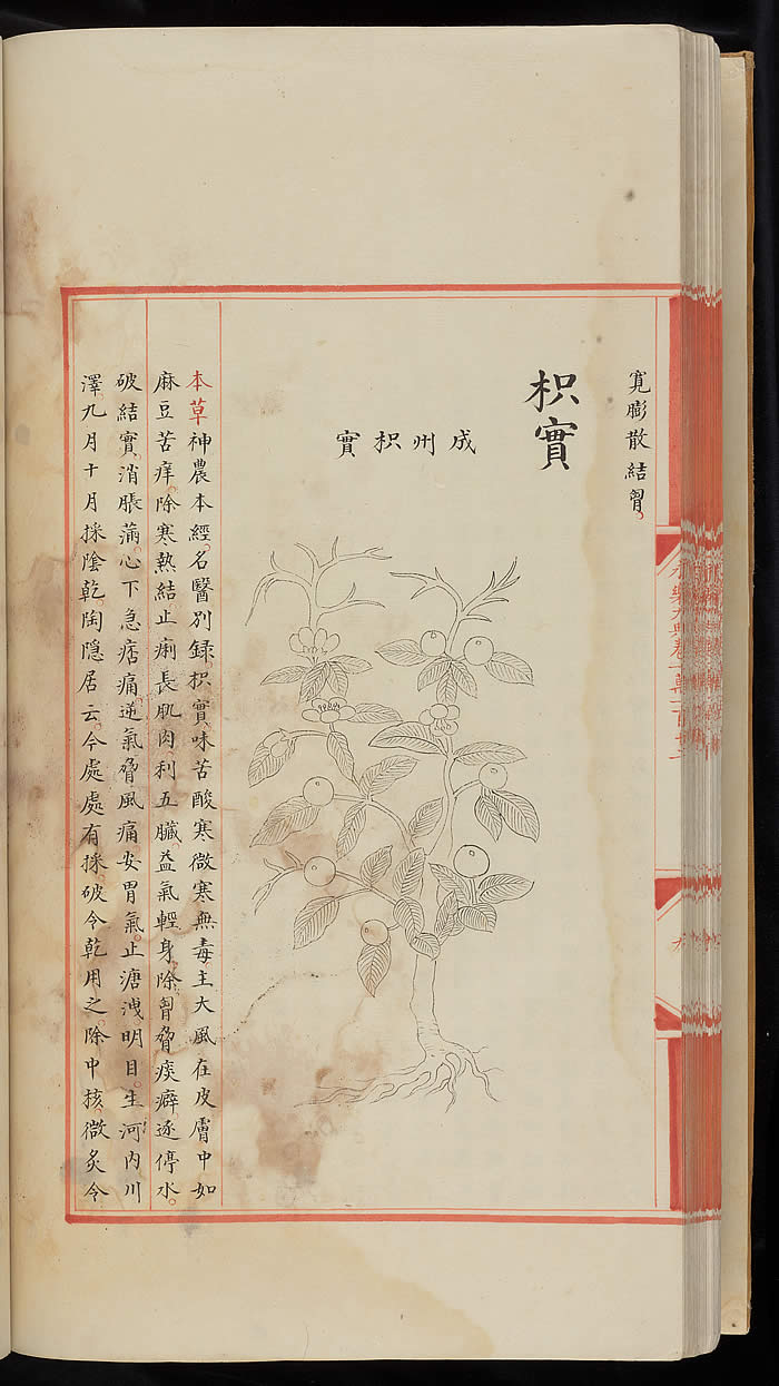 A page from the manuscript of 'Yongle Encyclopedia'. Chester Beatty Library